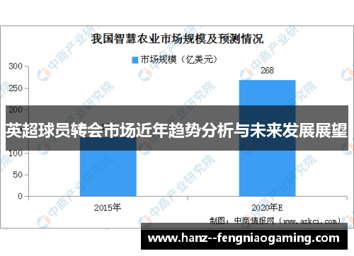 英超球员转会市场近年趋势分析与未来发展展望 英超球员转会市场近年趋势分析与未来发展展望