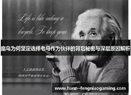 魔鸟为何坚定选择老马作为伙伴的背后秘密与深层原因解析 魔鸟为何坚定选择老马作为伙伴的背后秘密与深层原因解析