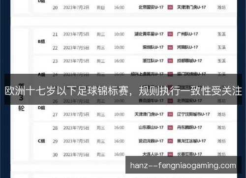 欧洲十七岁以下足球锦标赛,规则执行一致性受关注 欧洲十七岁以下足球锦标赛,规则执行一致性受关注